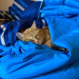 Meet your Posher, Eddie